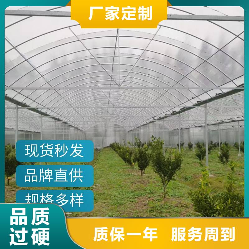 东源县连栋温室智能大棚种类齐全2024-8-28