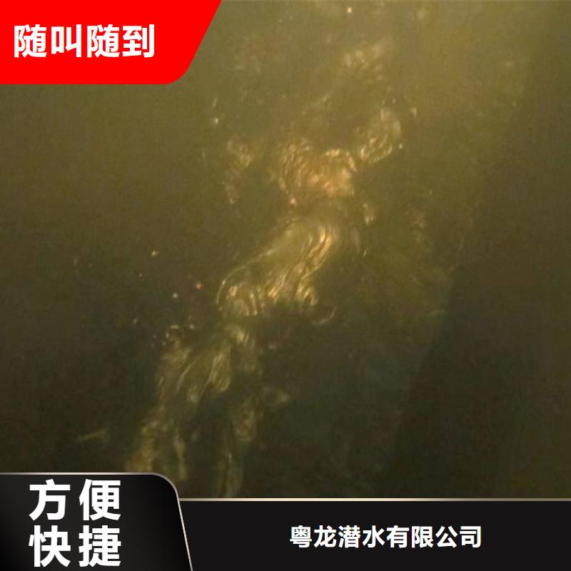 码头检测欢迎电询