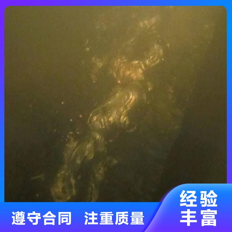 码头检测欢迎来电