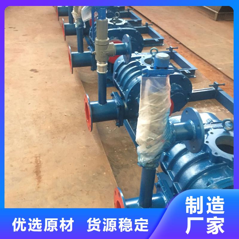 每日两叶罗茨风机LFSR200