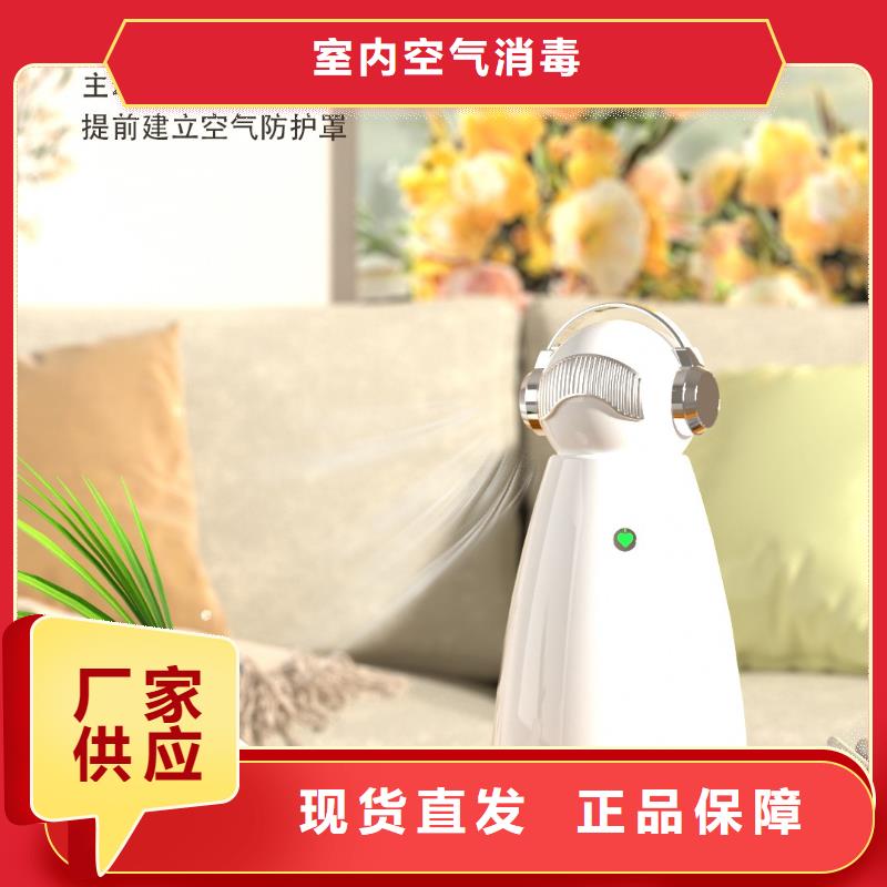 【深圳】解决异味的小能手多少钱一个小白空气守护机