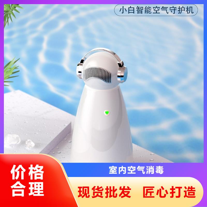 小白祛味王小白空气守护机器人现货款式多样