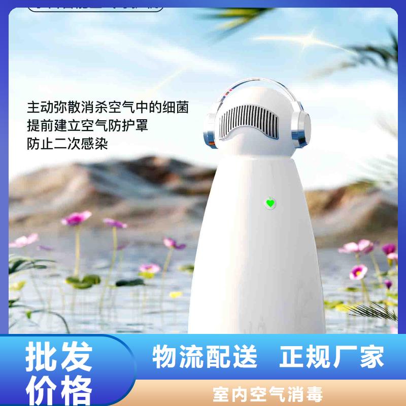 小白孕妇空气守护机供应智能空气净化器快捷的物流配送