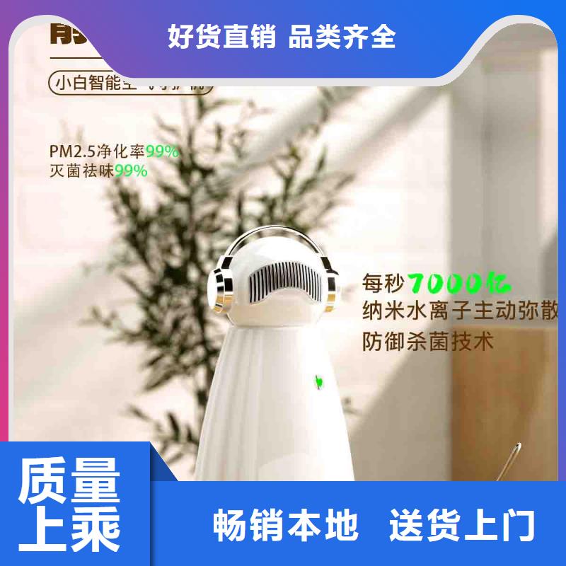小白婴儿空气守护机车载空气净化器厂家严格把关质量放心