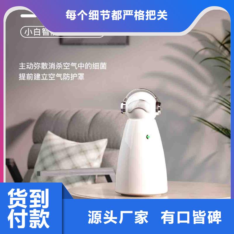 小白空气守护机智能空气净化器批发定制不额外收费