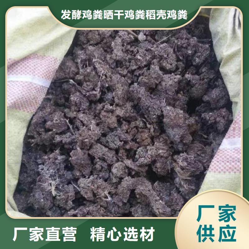 发酵鸡粪使豆角多收几茬