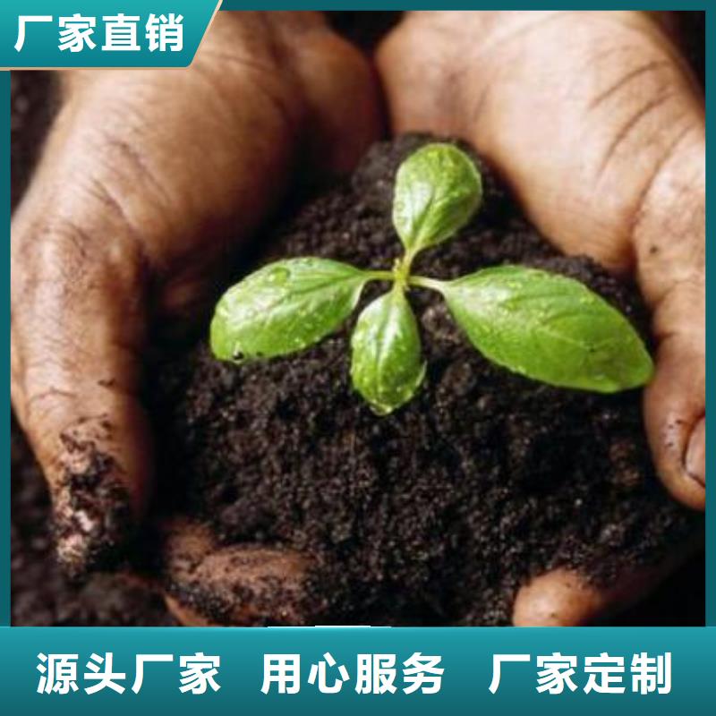 兰州莘县寿光鸡粪有机肥增加苹果收入