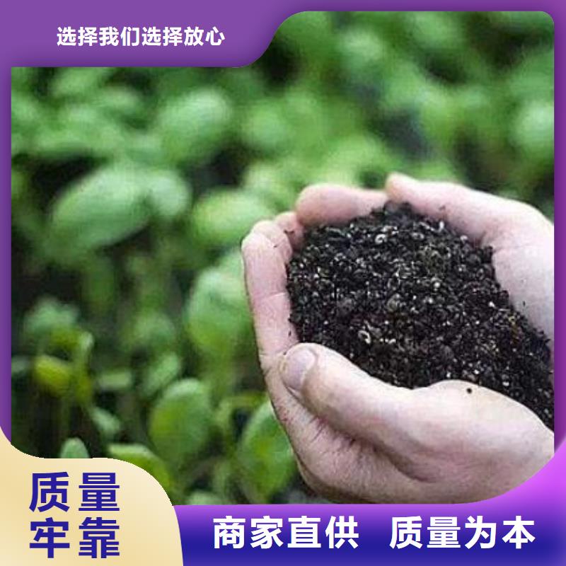 河南鹤壁鹤山有机肥新价格