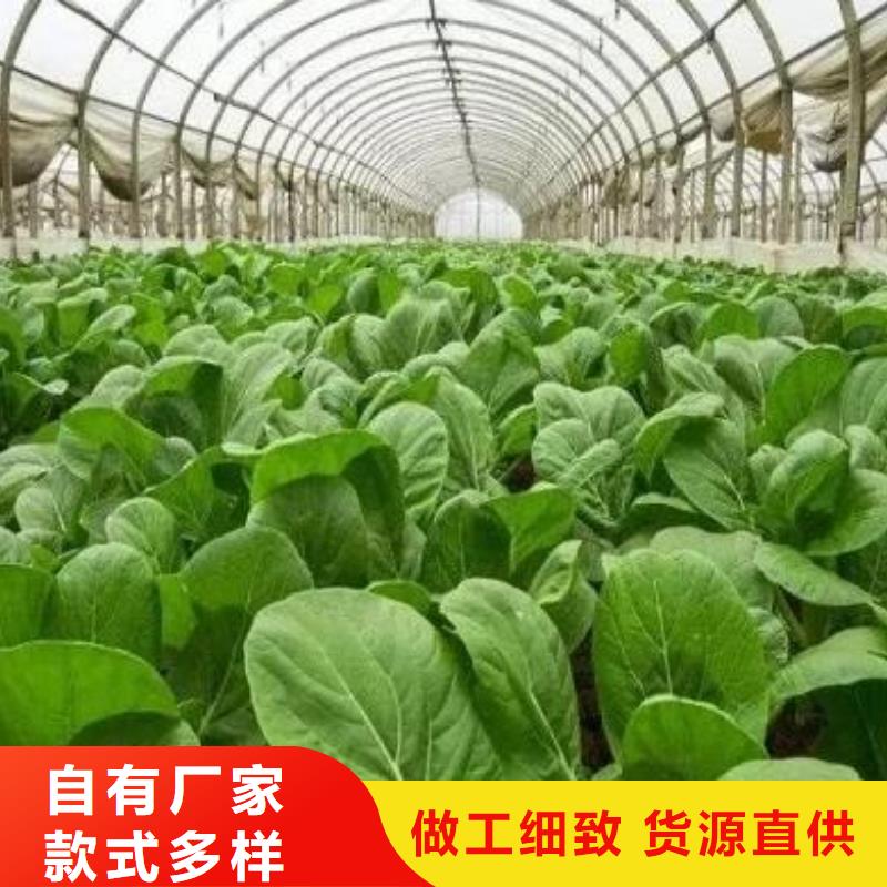 万荣上海日照鸡粪放心农家肥_新闻资讯