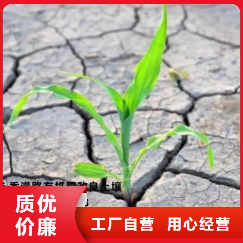 肥水鸡粪厂家