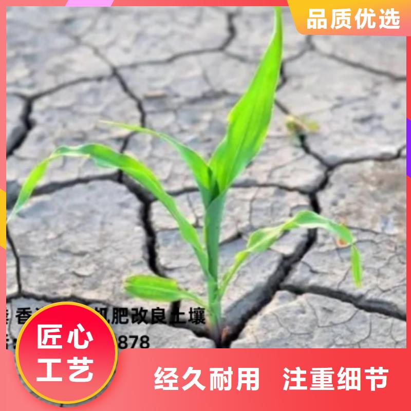 稻壳鸡粪肥效长