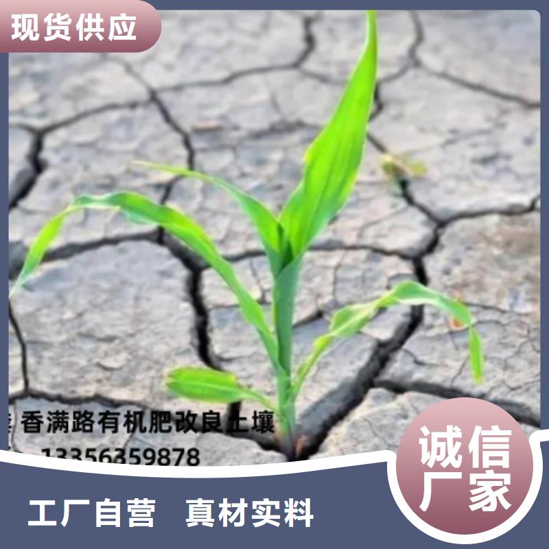 干鸡粪块厂家