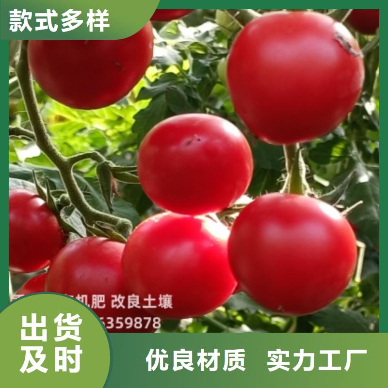 肥水鸡粪用肥技术