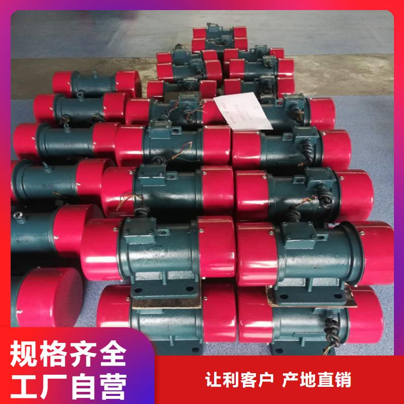 JZO-30-2振动电机-踏踏实实做产品