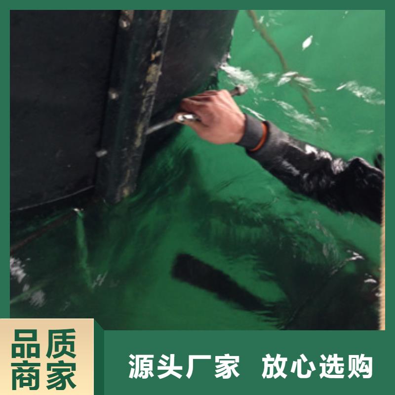 水下海生物清理本地潜水救援服务