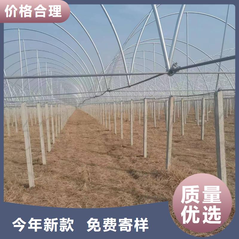 温室大棚_热镀锌光伏支架精挑细选好货