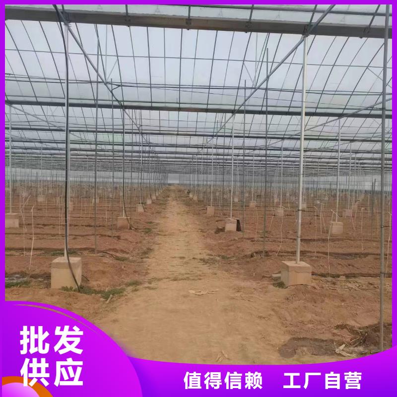 温室大棚光伏车棚制作追求品质