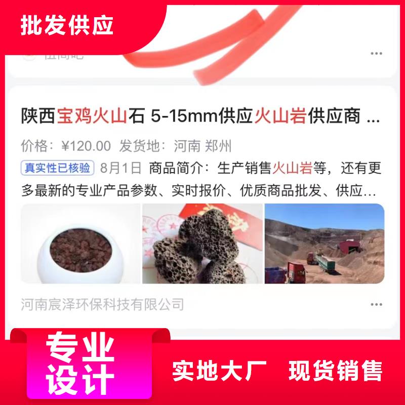 软件网站制作开发