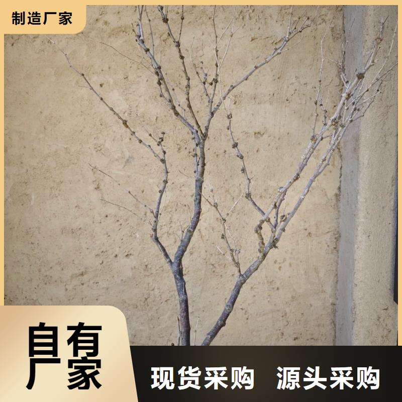 夯土艺术漆生产厂家，批发施工