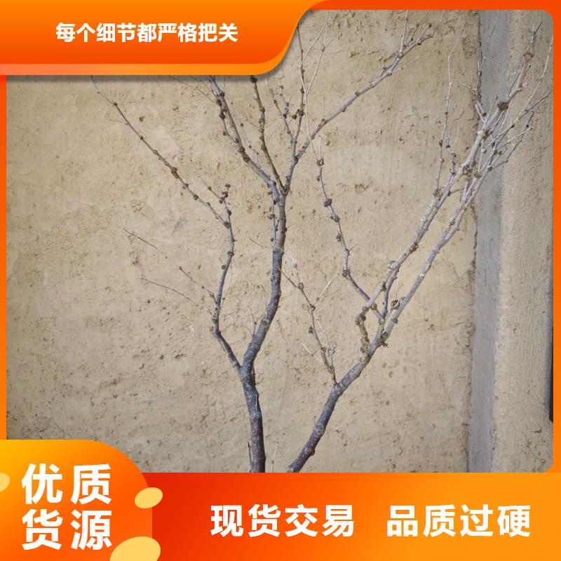 生态稻草漆厂家批发，承接工程