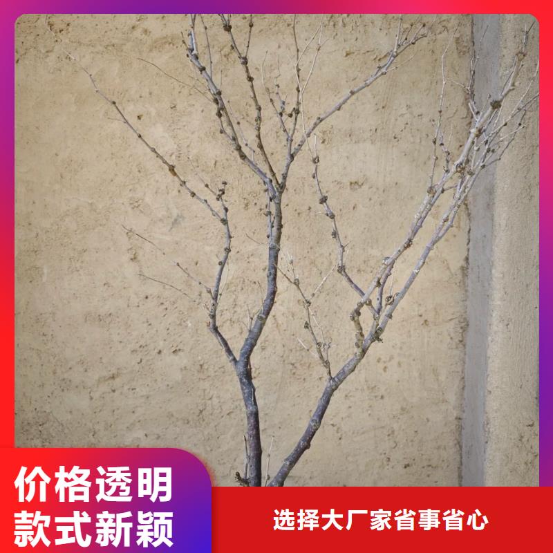 稻秸秆漆厂家批发，质优价廉，承接工程
