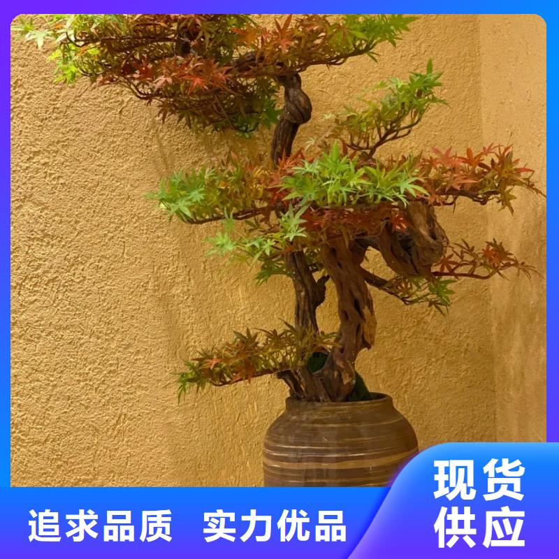 外墙夯土漆厂家施工