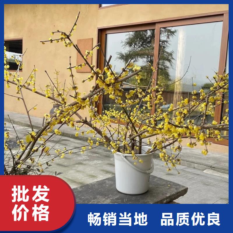 仿夯土稻草漆，艺术涂料厂家，农家小院改造，仿夯土肌理漆厂家施工