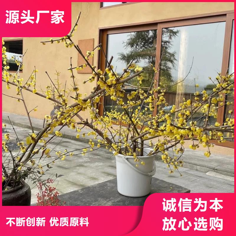 稻壳漆源头厂家，拿货批发价