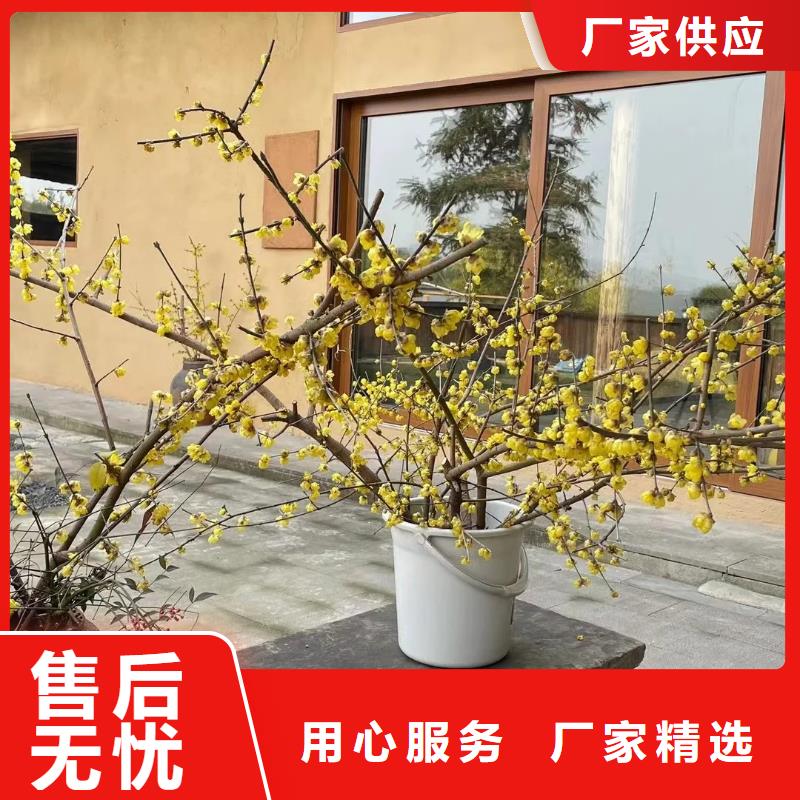 稻壳漆厂家施工，经验丰富
