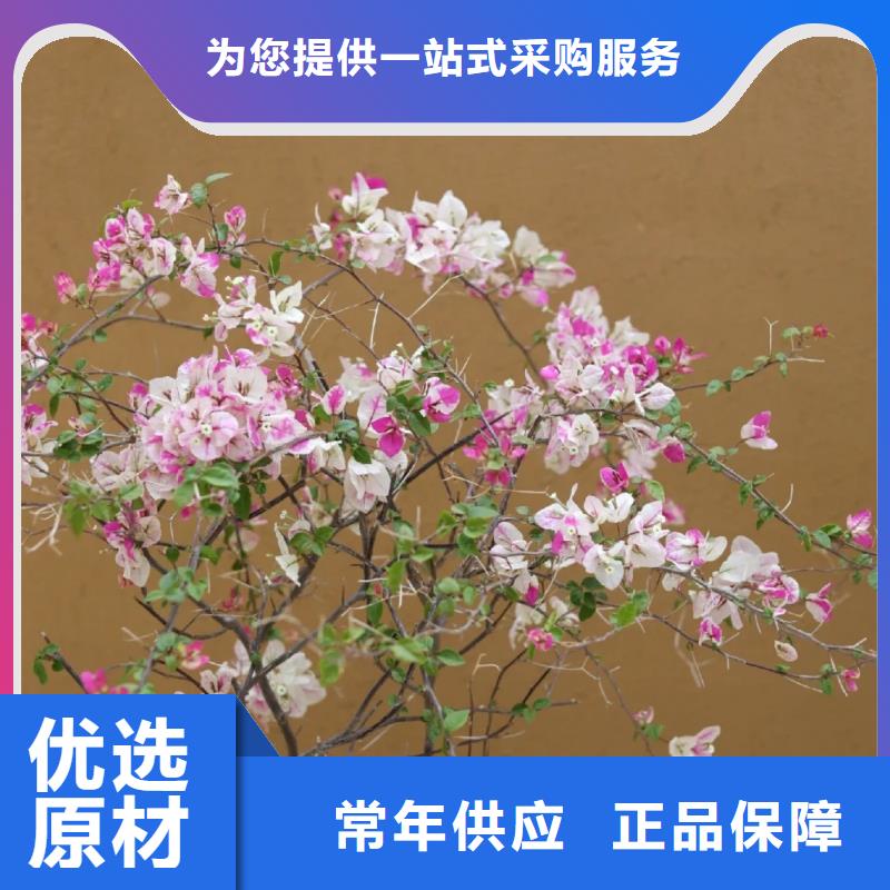 生态稻草漆，老房翻新，农家小院，仿夯土肌理漆施工报价