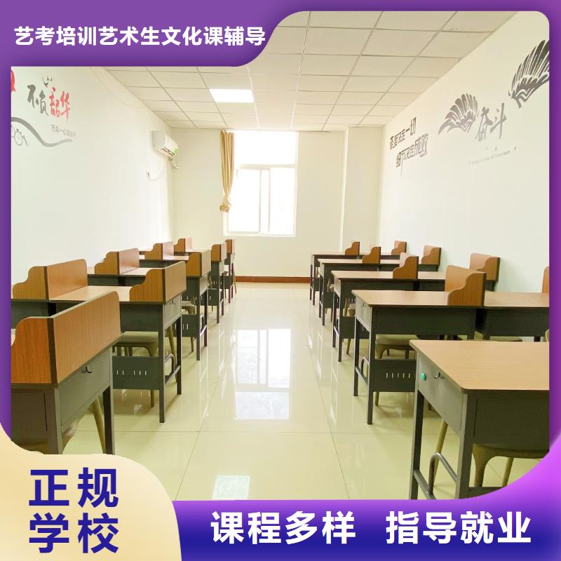 山东艺考文化课学历学真本领
