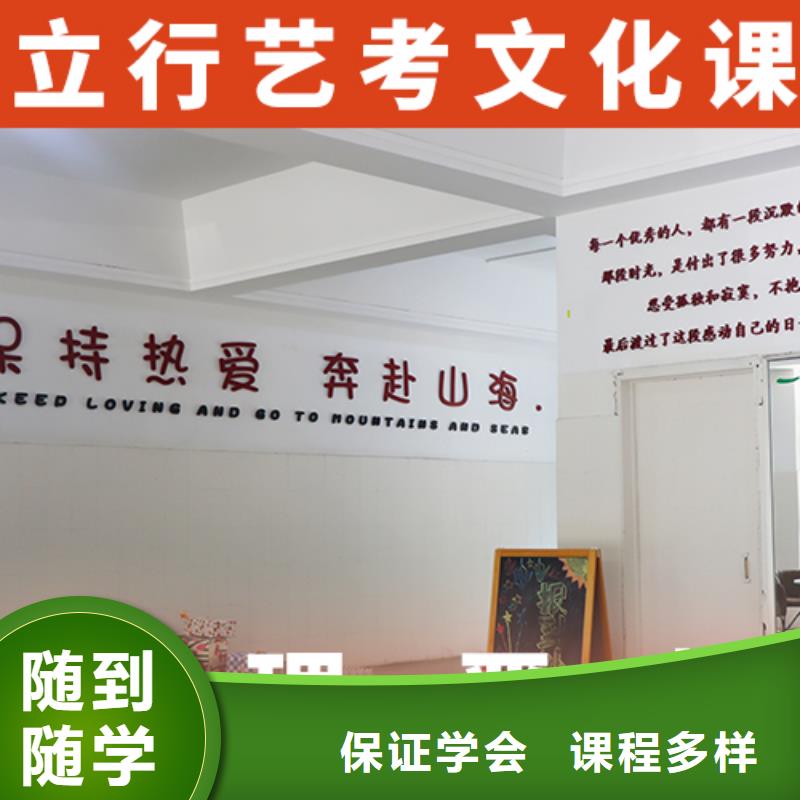 艺考文化课培训【高考小班教学】师资力量强