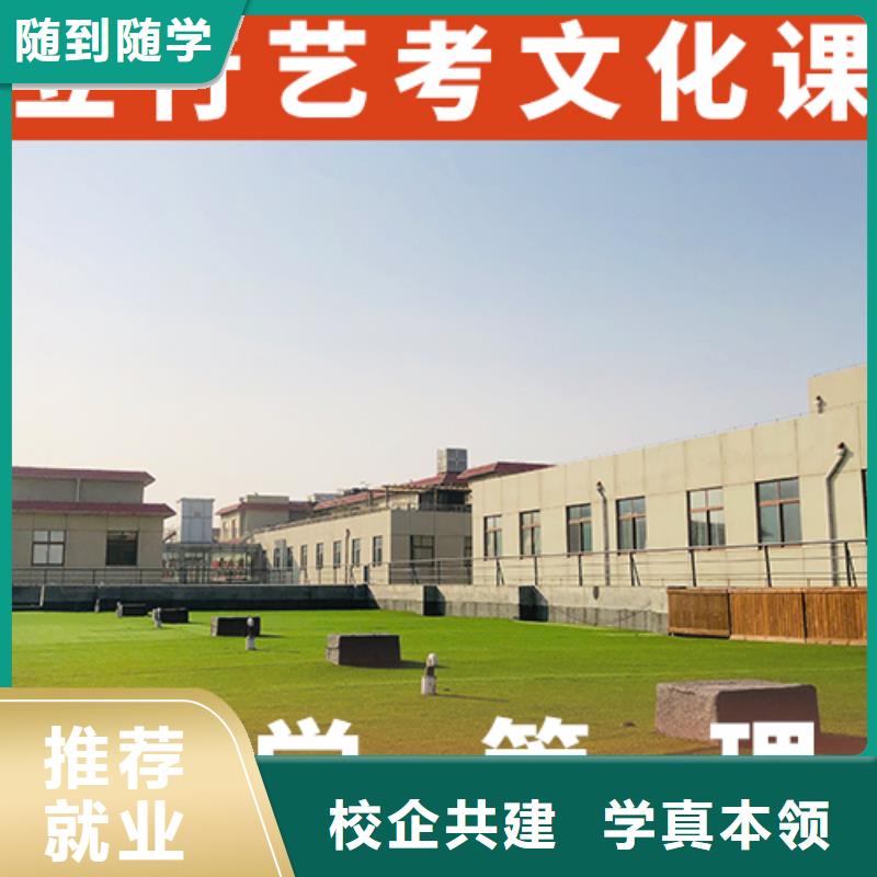 艺术生文化课补习学校分数要求多少