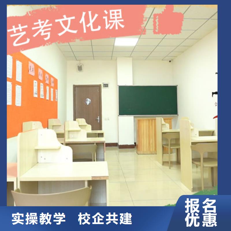 艺考生文化课,艺术生文化补习正规培训