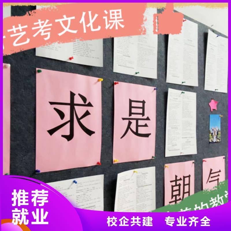 艺考文化课集训美术生文化课培训理论+实操