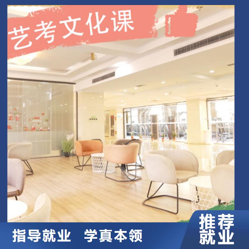 艺考文化课集训艺考培训指导就业