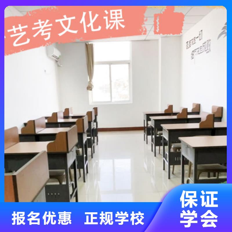 艺考文化课培训【艺考培训学校】理论+实操