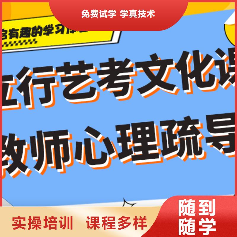 艺考生文化课【艺考培训班】学真技术