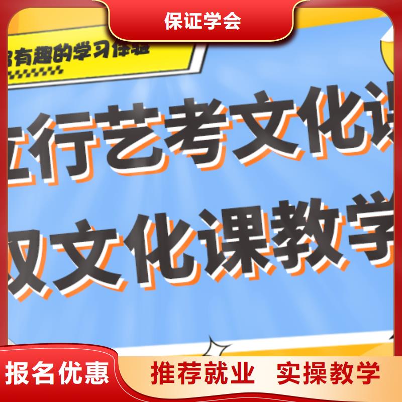 艺考生文化课【艺考培训机构】理论+实操