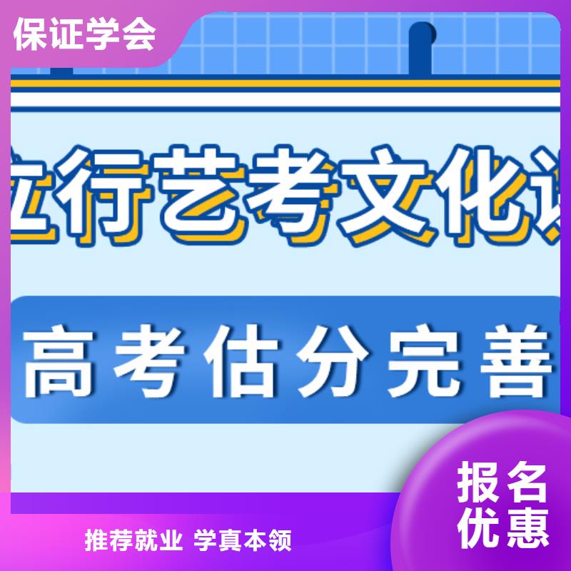 艺考生文化课【艺考培训机构】理论+实操