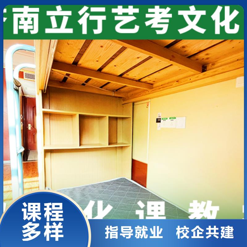 艺考文化课-高考志愿一对一指导师资力量强