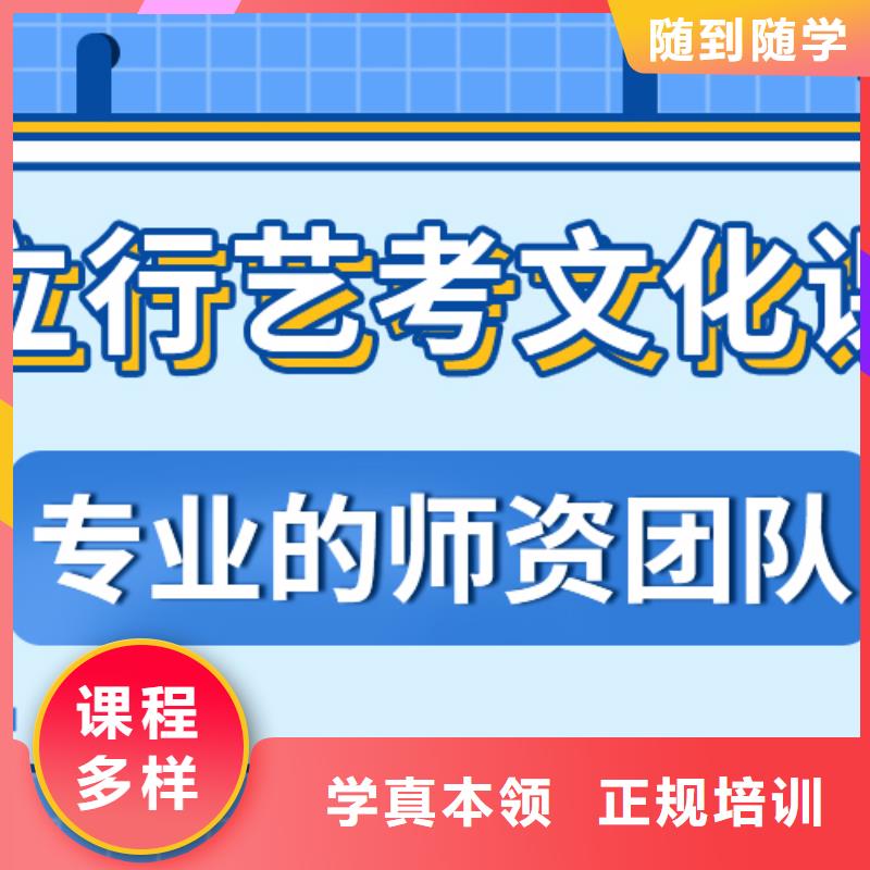 艺考文化课艺术生文化补习手把手教学