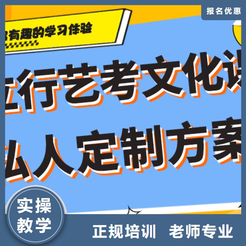 艺考文化课艺术生文化补习手把手教学