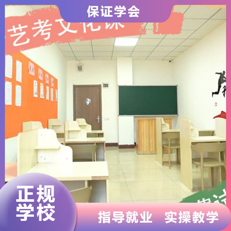艺考文化课-高考志愿一对一指导师资力量强