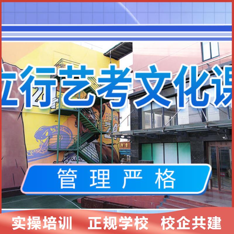 艺考生文化课冲刺复读班理论+实操