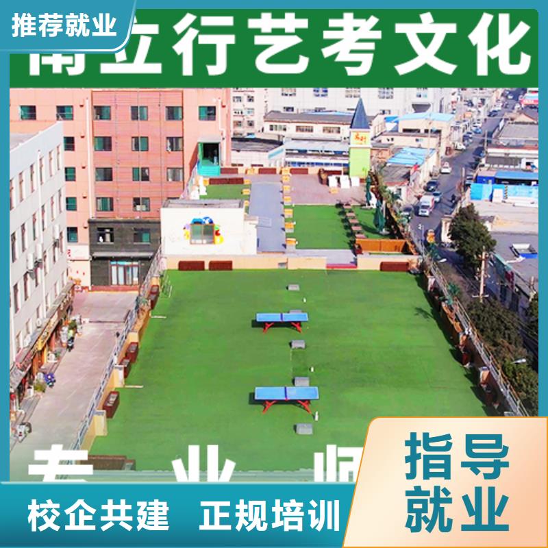 艺考生文化课冲刺_艺考文化课冲刺班理论+实操