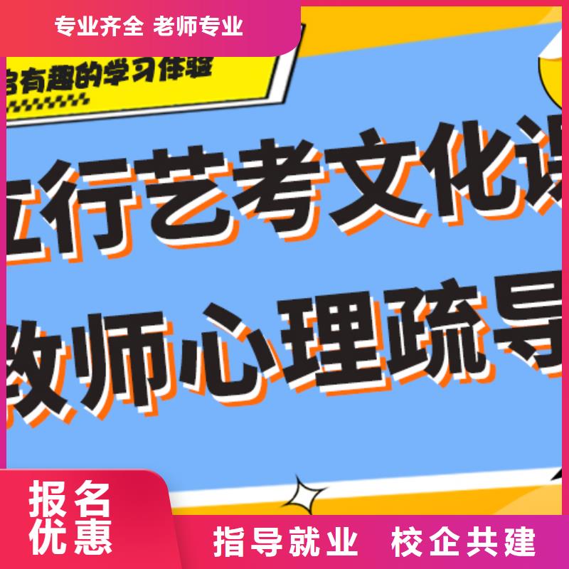 艺考生文化课冲刺复读班理论+实操