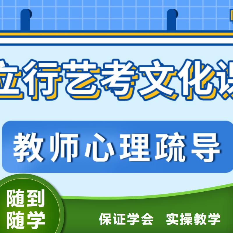 艺考生文化课冲刺艺考复读清北班师资力量强