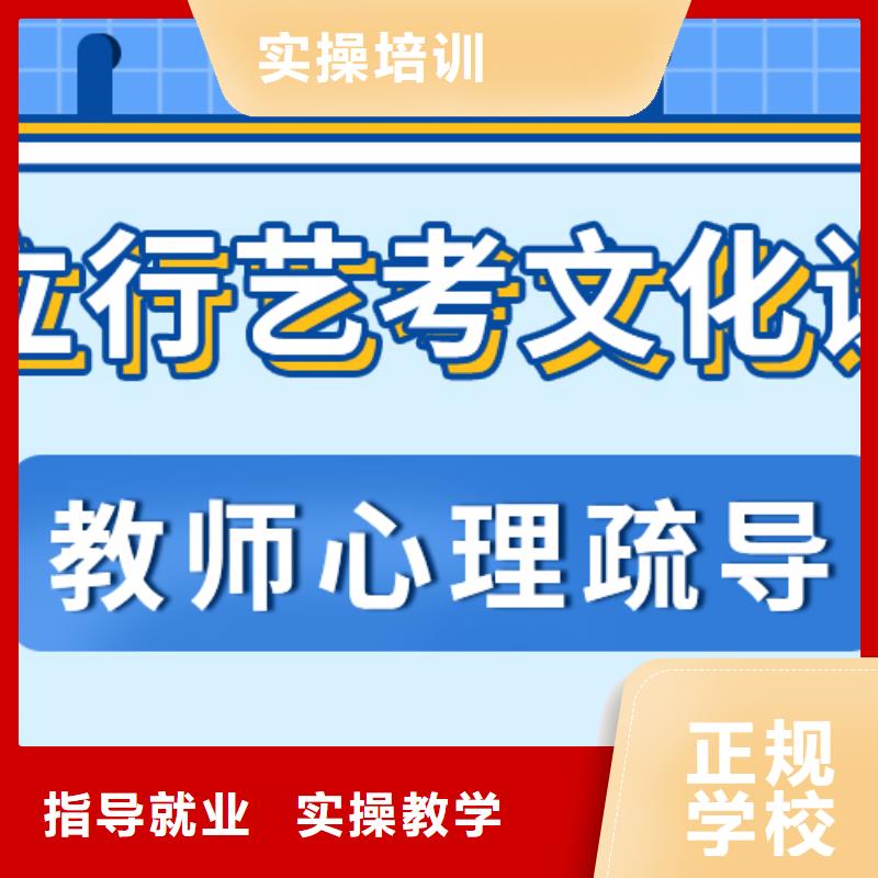 艺考生文化课冲刺_艺考文化课冲刺班理论+实操