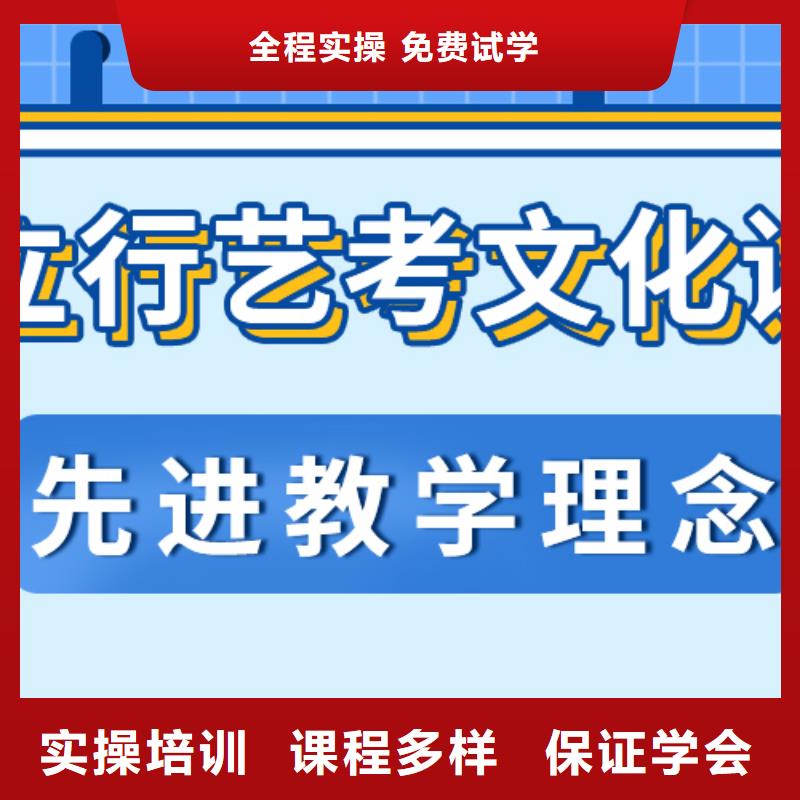 艺考生文化课冲刺艺考复读清北班师资力量强